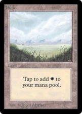 WOTC MtG Beta Plains - Ver. 1 (C) VG