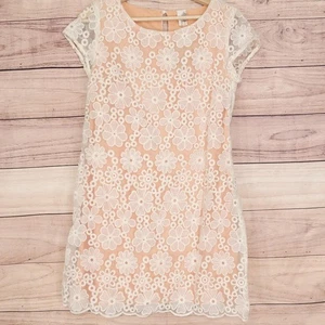 Francesca's Kleid Damen klein rosa Blumen Spitze Overlay Etuikleid Kurzarm - Bild 1 von 11