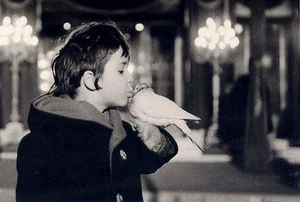 Robert Doisneau•NIÑO Y PALOMA 1977•Encantadora Fotografía Francesa POSTAL - Imagen 1 de 1