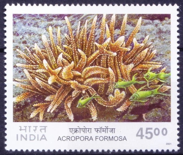India 2011 MNH, Corals, Marine Life, Staghorn Coral - Image 1 of 1