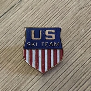 Vintage US Ski Team Pin Shield American Flag Olympics Winter Games Skiing - Picture 1 of 6