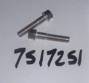 PAQUETE DE PERNOS POLARIS OEM NUEVO DE LOTE ANTIGUO DE NIEVE PURO ATV PWC DE 2 7517251 - Imagen 1 de 1