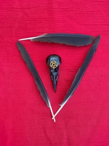 Echter Krähenschädel Gold Pentagramm Tierknochen Hexerei Schutz - Bild 1 von 2