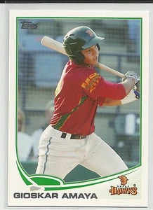 Gioskar Amaya Chicago Cubs 2013 Topps Pro Debut Minor League Card - Picture 1 of 1