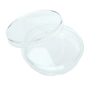 CELLTREAT 60 mm x 15 mm Petrischale mit Griffring 500/Etui, steril, #229663 - Bild 1 von 2