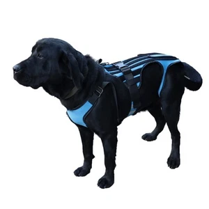 Dog Back Brace for Dogs, Hip Brace Support for Pet, Back Brace for Dogs with ... - Picture 1 of 6