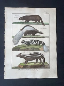 1782 - BUFFON - ORIGINAL ANTIGUO ESTAMPADO A MANO - CHINCHILLA - PL.86 - Imagen 1 de 1