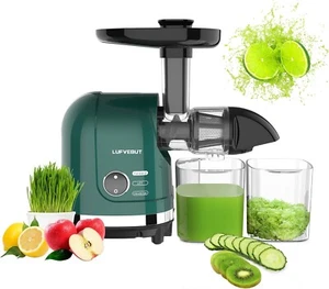 Cold Press Juicer Machines, Masticating Slow Electric Juicer for Fruits Vegetabl - Picture 1 of 10