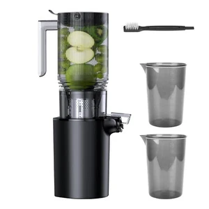 Cold Press Juicer Machine Slow Masticating Juicer Home Juice Extractor Machine - Picture 1 of 11