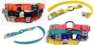 Kiwi Pet Co - 1" Zeus ECollar Replacement Strap - Bungee Loop Dog Collar - Picture 1 of 29