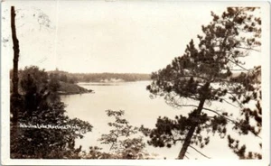 1930s MI RPPC Real Photo Postcard Arbutus Lake Tree View Mayfield Scenic Nature - Picture 1 of 2