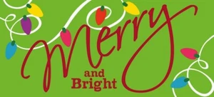 MERRY AND BRIGHT EVERGREEN SASSAFRAS SWITCH MAT NEW 10" X 22" - Picture 1 of 2