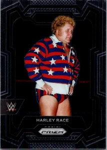 Panini Harley Race 2024 - Bild 1 von 2