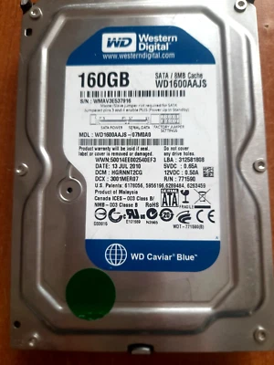 Hard Disk Western Digital 160GB SATA 3.5" WD1600AAJS usato, in ottime condizioni - Immagine 1 di 4