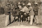 CARTE POSTALE / AFRIQUE / MADAGASCAR RECOLTE DE PLUMES D