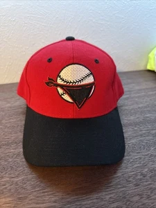 Quad City River Bandits seltene authentische Zephyr Wolle eng anliegende Mütze - Bild 1 von 5