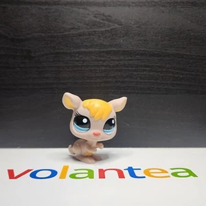 Walmart Exclusive Authentic Littlest Pet Shop LPS Kangaroo #1255 Brown Orange - Bild 1 von 11