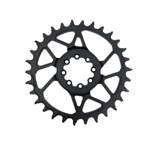 SRAM S1000 Eagle T-Type Direct Mount Chainring - 30t, 12-Speed, 8-Bolt Direct - Picture 1 of 1