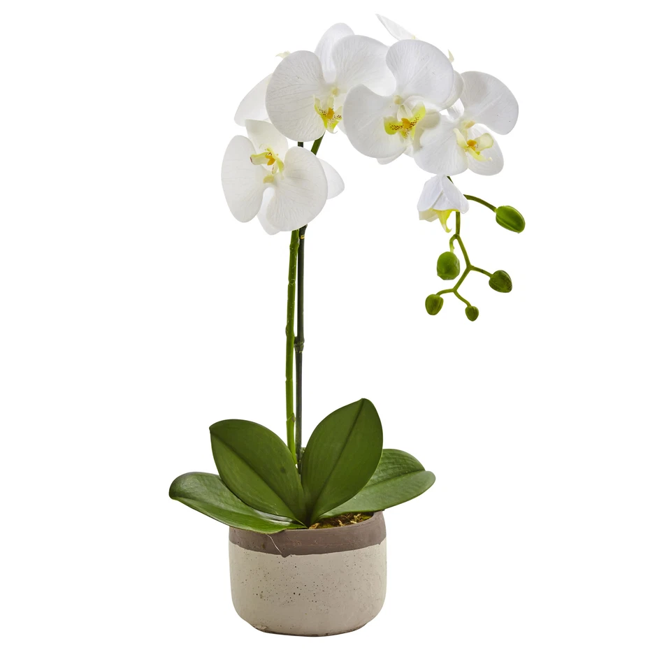 Phalaenopsis Orchid In Ceramic Pot Realistic Floral Home Decor - Image 1 of 1