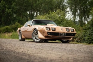 1979 Pontiac Trans Am Fire Bird - Picture 1 of 14