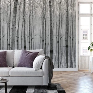 Carta da parati fotografica Foresta Bianca 384x260 cm camera da letto soggiorno bianca betulla allagata - Foto 1 di 5