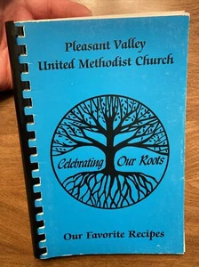 Pleasant Valley United Methodist Church Our Favorite Recipes Cookbook D8 - Picture 1 of 12