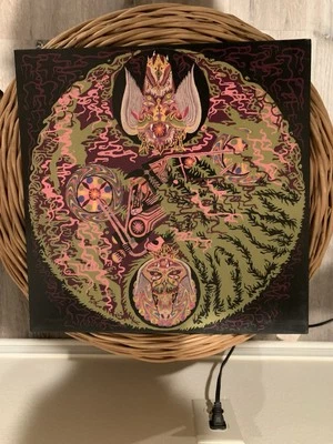 Witch-Heavy Metal Music- Gold Colored Vinyl- 2006- J. Macis of Dinosaur Jr. Foto 1 de 3