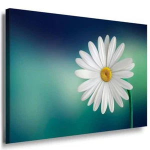 Weiße Blume Makro Leinwandbild AK Art Bilder Mehrfarbig Kunstdruck XXL Wandbild - Bild 1 von 5