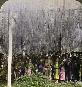 Japan Tokyo Kasukabe Giant Wistaria Old Stereoview Photo Underwood 1904 - Picture 1 of 3