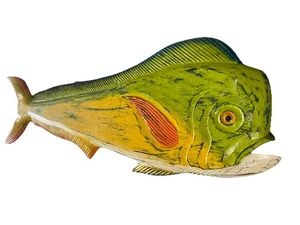39” MAHI MAHI DOLPHIN Fish WALL ART TROPICAL NAUTICAL PATIO TIKI BAR HOME DECOR - Picture 1 of 3