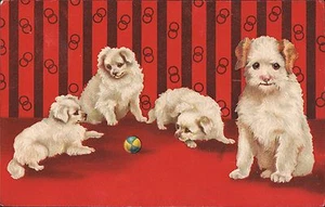 Postal para perro ~ Terrier blanco esponjoso mamá perro y cachorros jugando con la pelota - Imagen 1 de 2