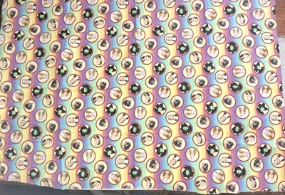 El Mago de Oz Dorothy, Toto, Glenda y la Bruja Malvada 28" x 41" Panel de Tela Foto 1 de 3