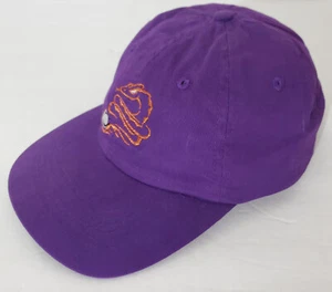 Cappello da baseball Arizona Diamondbacks Diamondbackers logo serpente dbacks SGA 2001 - Foto 1 di 10