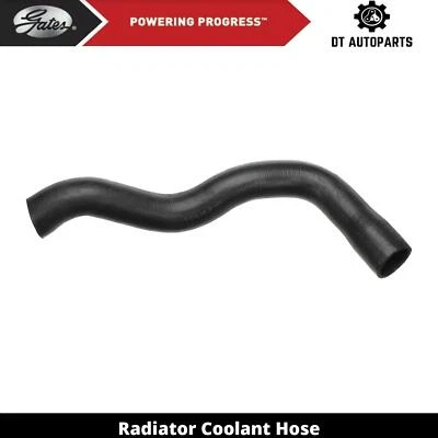 Manguera de refrigerante de radiador Buick Century 1979-1981 puertas inferiores 1980 Foto 1 de 4