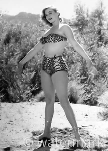 Classic Anita Ekberg 8x10 Reprint – Hollywood Actress Publicity Photograph - Picture 1 of 1