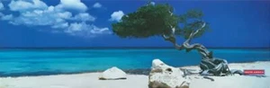 Aruba Beach Scenic Poster 12 x 36 - Picture 1 of 3