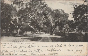 Back Road Oaks and Moss Pass Christian Mississippi MS 1900s Postcard - Picture 1 of 2