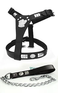 STAFFY STAFFORDSHIRE CANE, IMBRACATURA IN PELLE E SET PIOMBO NERO CROMATO VISO CANE - Foto 1 di 8