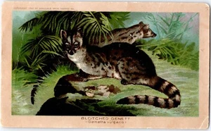 1800s Blotched Genett Arbuckle Coffee Victorian Trade Card - Picture 1 of 2