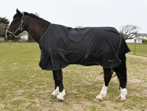 Rhinegold Capri 100gsm Horse Turnout Rug, 600d, Black, - Picture 1 of 1