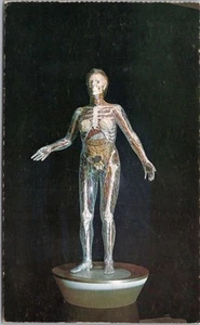 c1960s HINSDALE HEALTH MUSEUM, postal de Illinois "Valeda la dama de cristal parlante" - Imagen 1 de 2