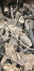 Raiz de Choya 4oz - Picture 1 of 2