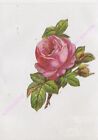 Chromo SCRAPBOOKING Fleurs rose