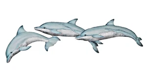 Dolphin Pod metal with capz finish wall art sea life decor - Picture 1 of 1