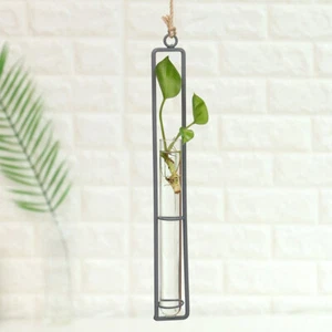 Glass Plants Vase for Wall Hanger Planter Terrarium Vase Pot Flower Crystal Vase - Picture 1 of 7
