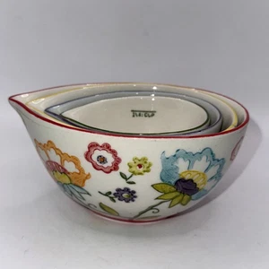 Pier 1 One Floral Nesting Measuring Cups Hand Painted Stoneware Set Of 4 Gift - Picture 1 of 17