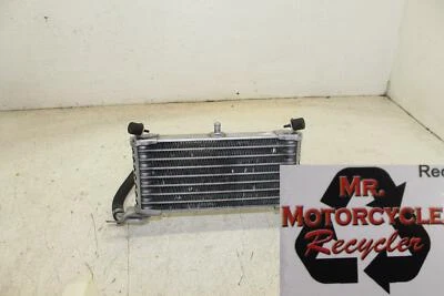 BMW S1000RR 2012 OEM motor enfriador de aceite P3 Foto 1 de 4