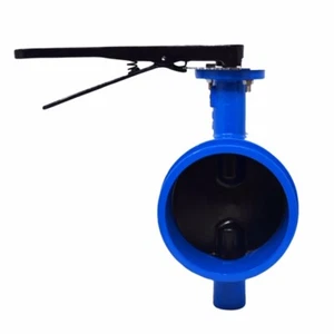 2" Grooved End Butterfly Valve, with Buna Encapsulated Disc - Picture 1 of 1