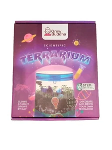 Grow Buddha Terrarium - Bild 1 von 9