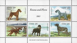 Ireland Sg MS563 1983 Irish Dogs hoja miniatura MNH - Imagen 1 de 2